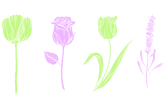 Download Plant Flower Leaf Botanical Design - Plant Collection