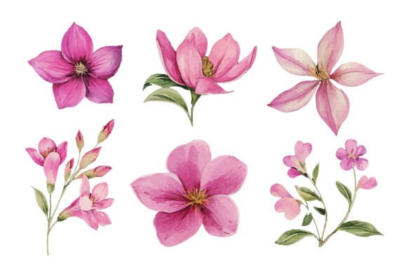 Download Pink Watercolor Flower Clipart Set - Watercolor flower clipart Collection