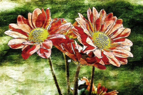 Download Printable Flower Graphics Pack# 01 - Printable flower Collection