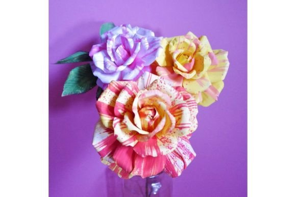 Download Hybrid Tea Rose - Tea rose Collection