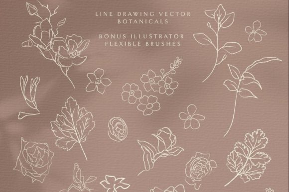 Download Line Drawing Botanicals, Plants. Wreath. - Plant Collection
