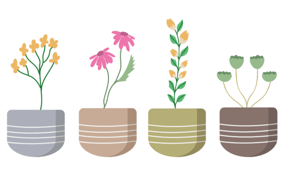 Download Set Plant Botanical Design - Plant Collection