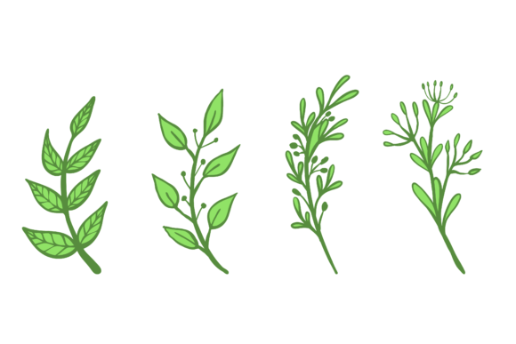 Download Set Flower Plant Botanical Design - Plant Collection
